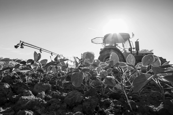 Programme agricole québec